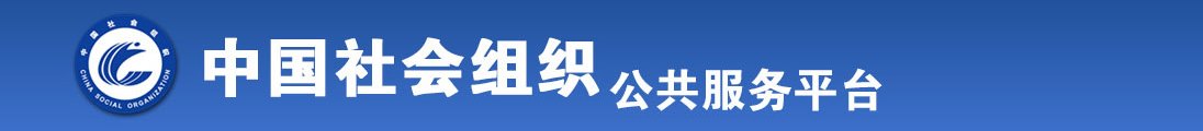 透逼网址全国社会组织信息查询